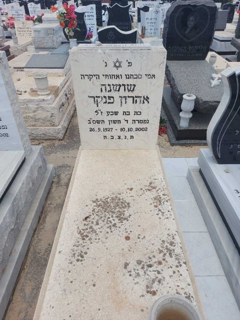 קברו של שושנה פניקר