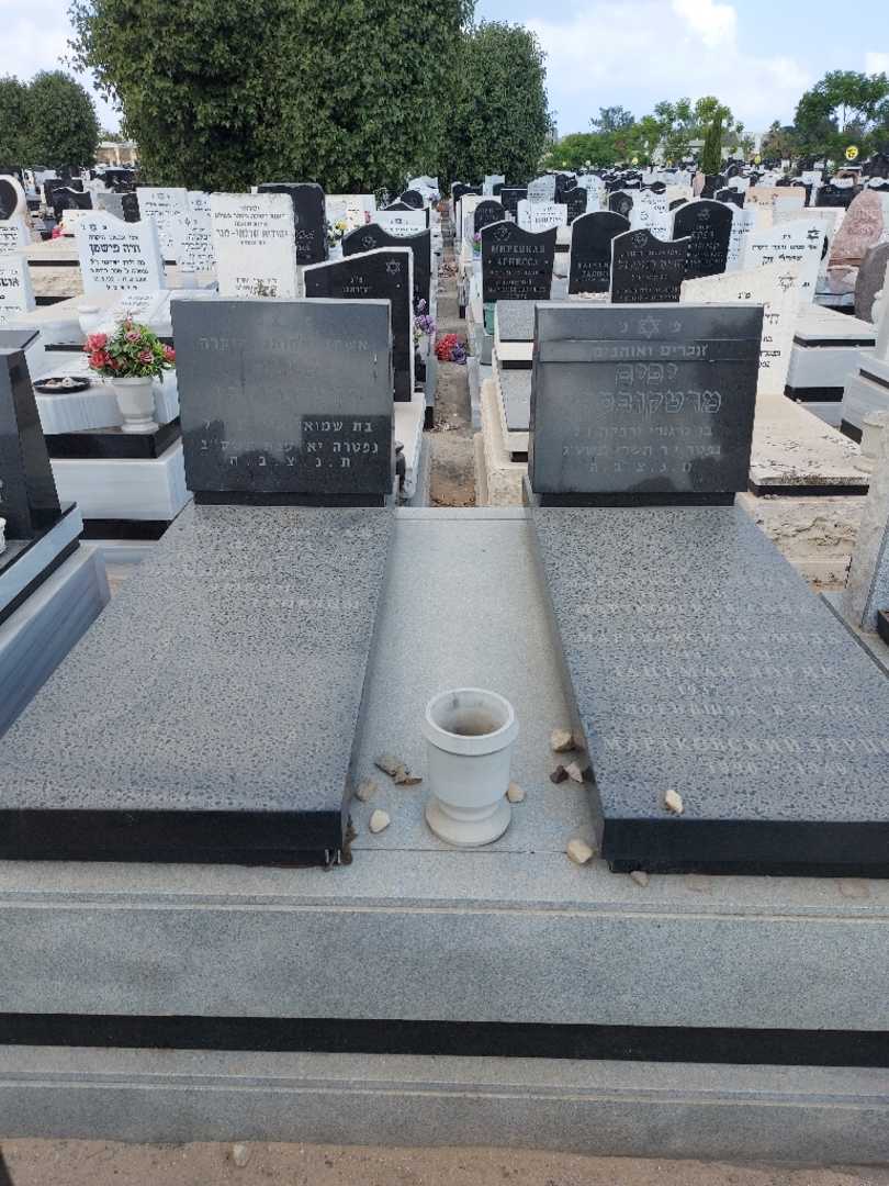 קברו של גרפל מרטקובסקי. תמונה 2