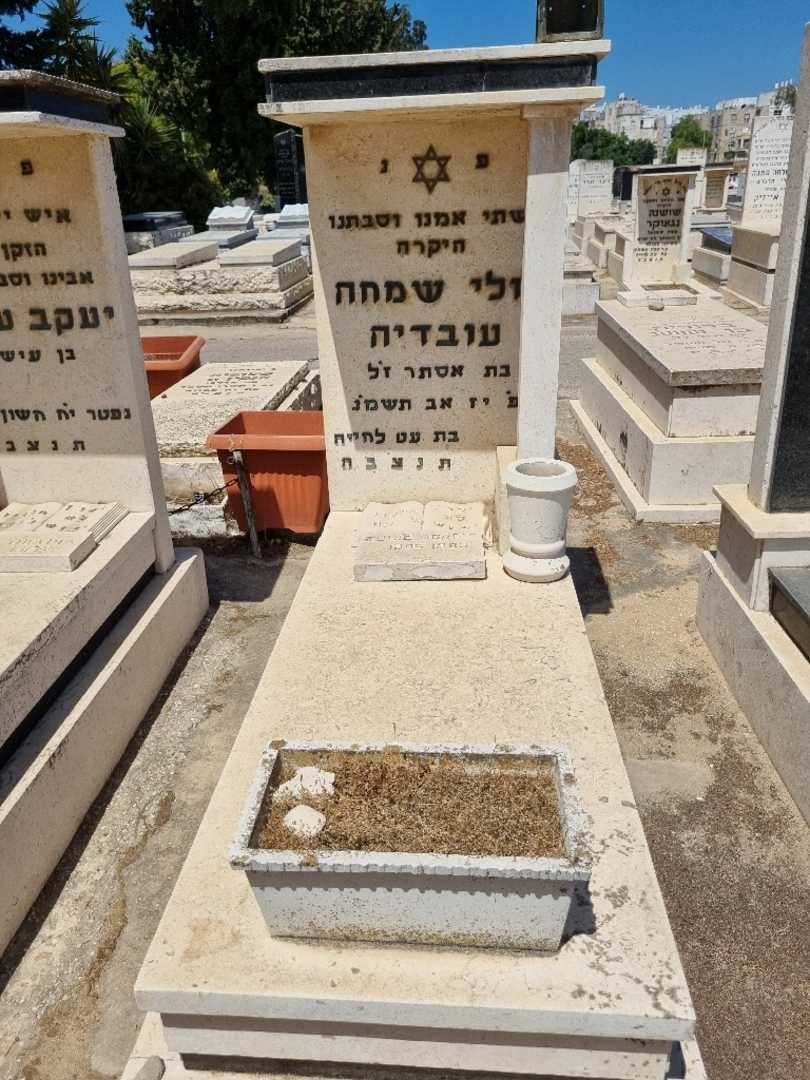 קברו של ג'ולי שמחה. תמונה 1