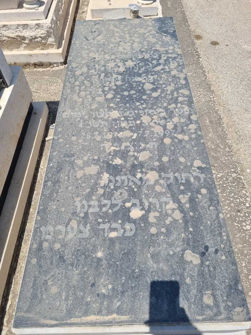 קברו של שלמה כהן