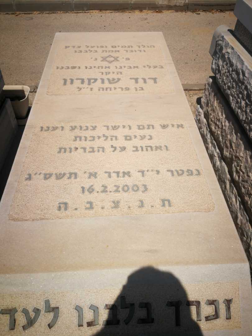 קברו של דוד שוקרון