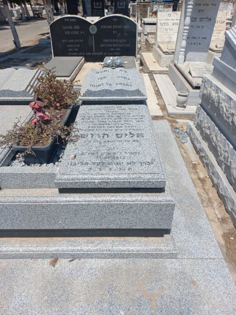 קברו של אליס הרוש. תמונה 1