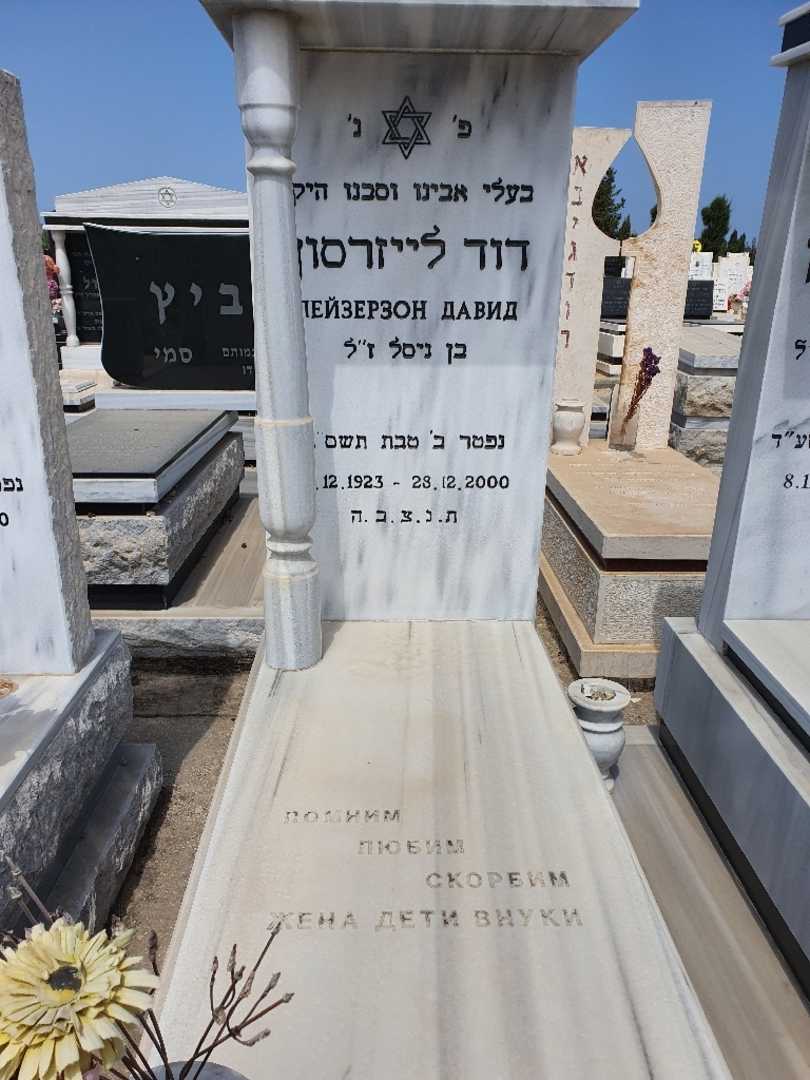 קברו של דוד ליזרסון. תמונה 1