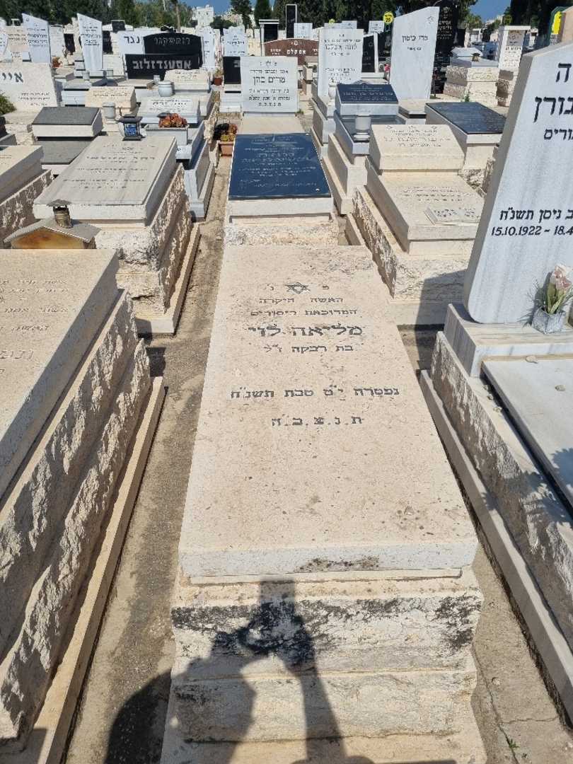 קברו של מליאה לוי
