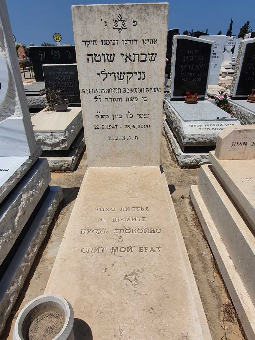 קברו של שוטה נניקשוילי