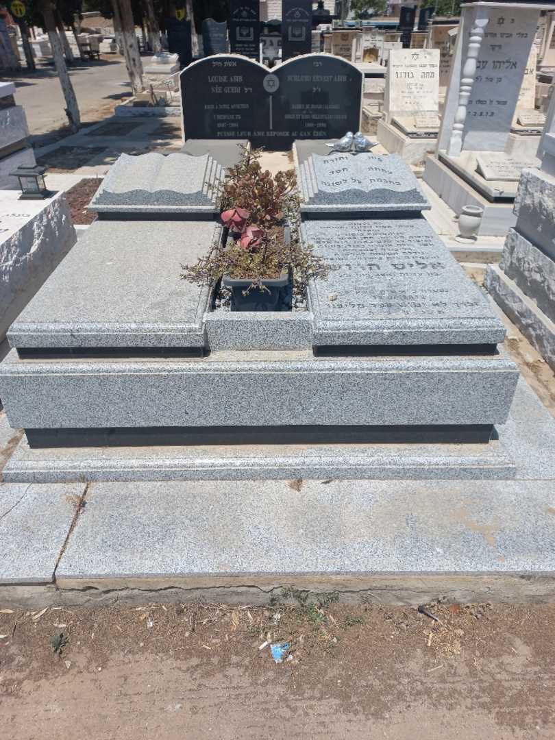 קברו של אליס הרוש. תמונה 2