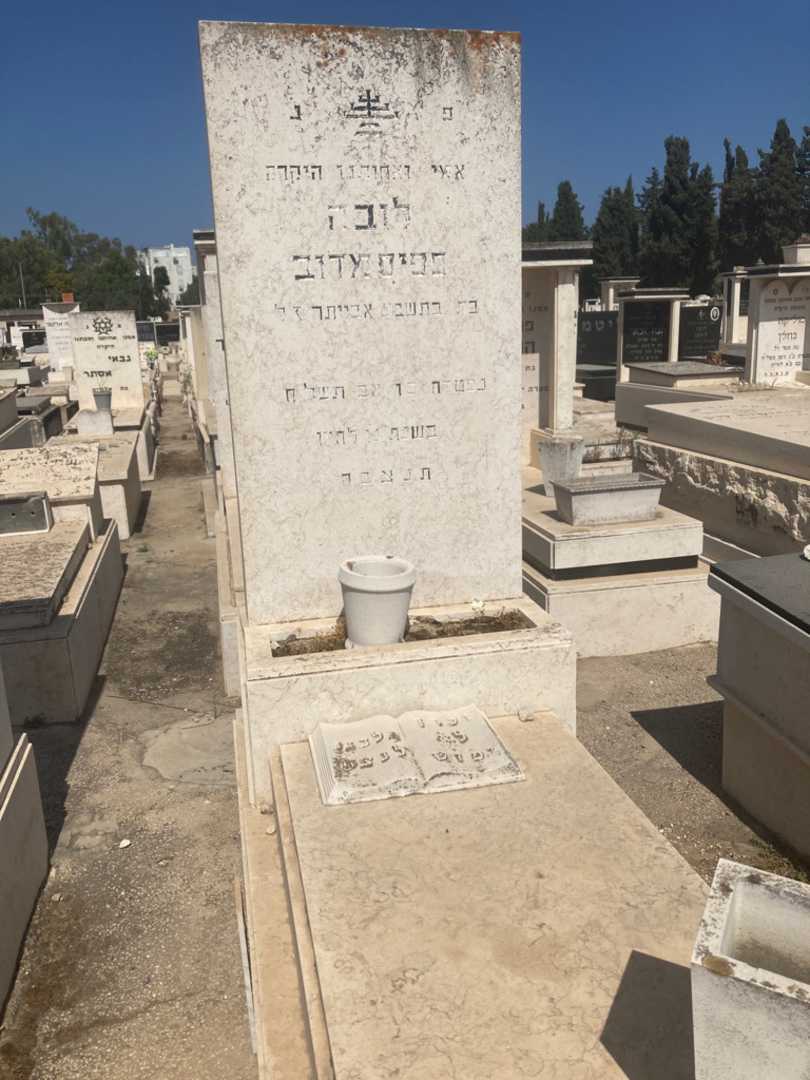 קברו של לובה פפיסמדוב