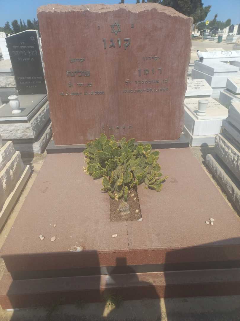 קברו של פולה קוגן. תמונה 1