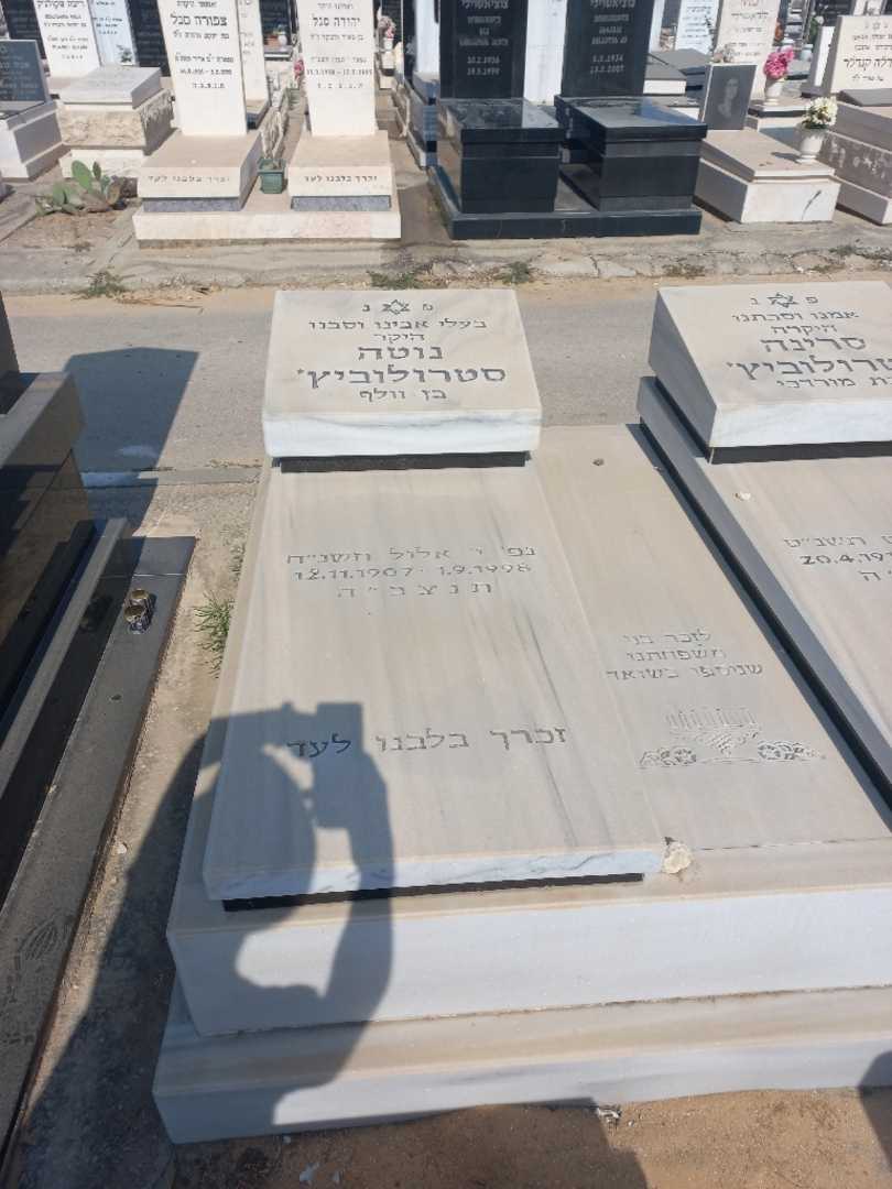 קברו של נוטה סטרולוביץ. תמונה 2