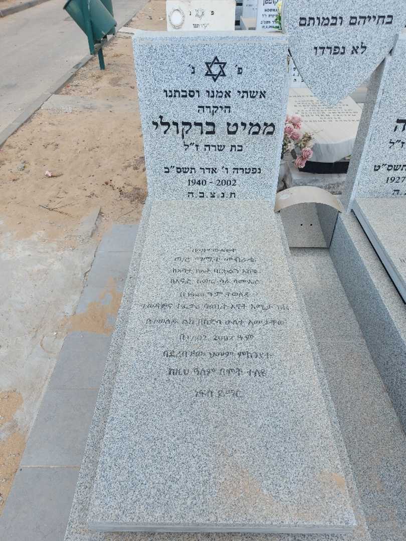 קברו של ממיט ברקולי. תמונה 1