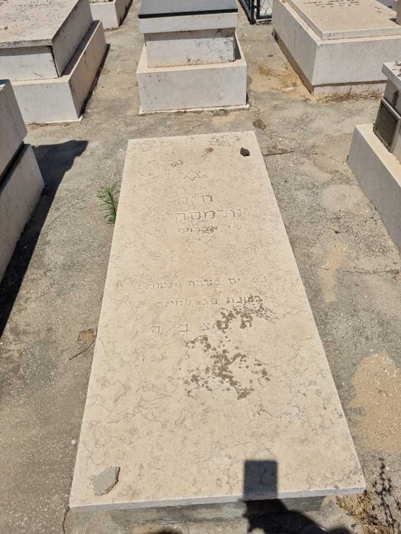 קברו של חיה טלמסיקה. תמונה 1