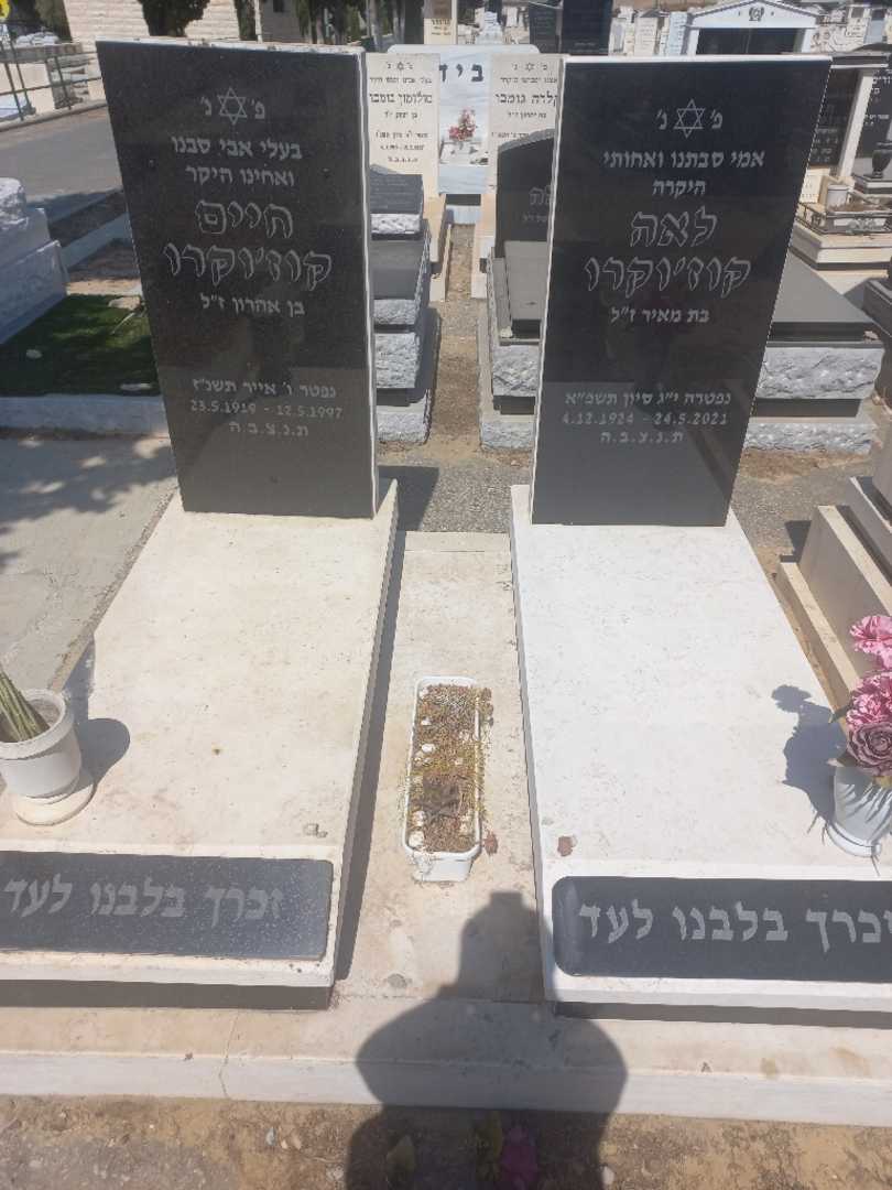 קברו של חיים קוזוקרו. תמונה 1