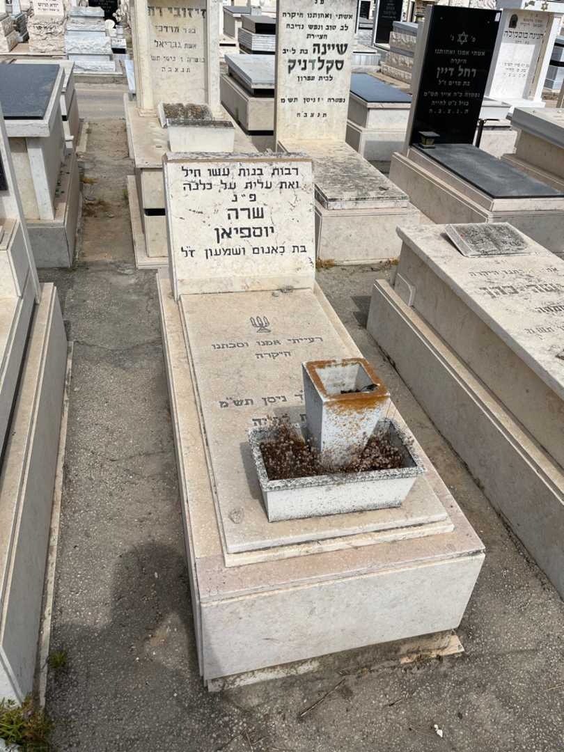 קברו של שרה יוספיאן
