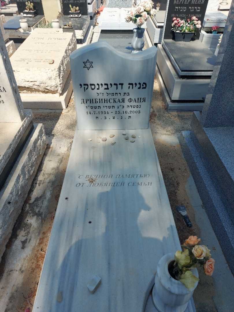 קברו של פניה דריבינסקי