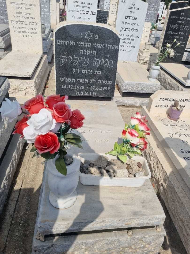 קברו של גניה צ'ליק. תמונה 2