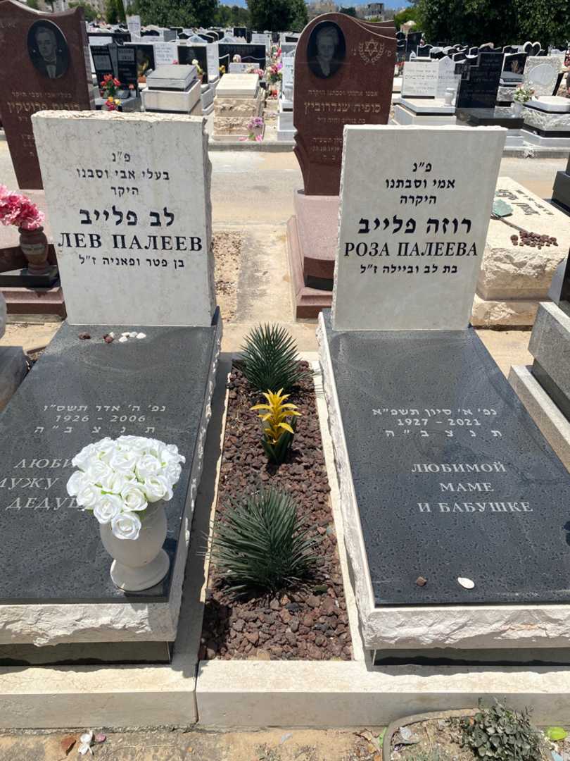 קברו של רוזה פלייב. תמונה 1