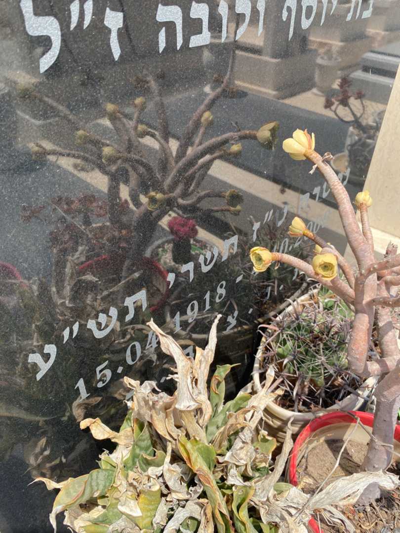 קברו של מירלה אפשטיין. תמונה 3