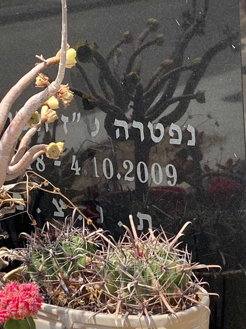 קברו של מירלה אפשטיין. תמונה 4