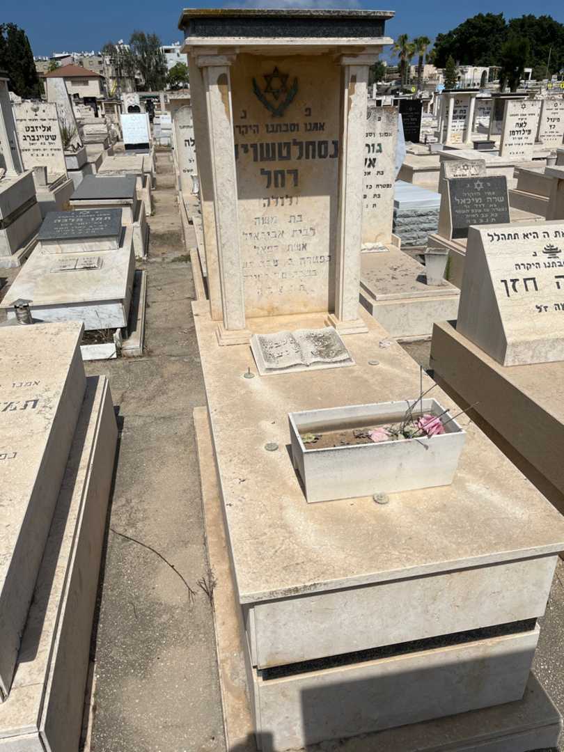 קברו של לולה "לולה" נסחלטשוילי