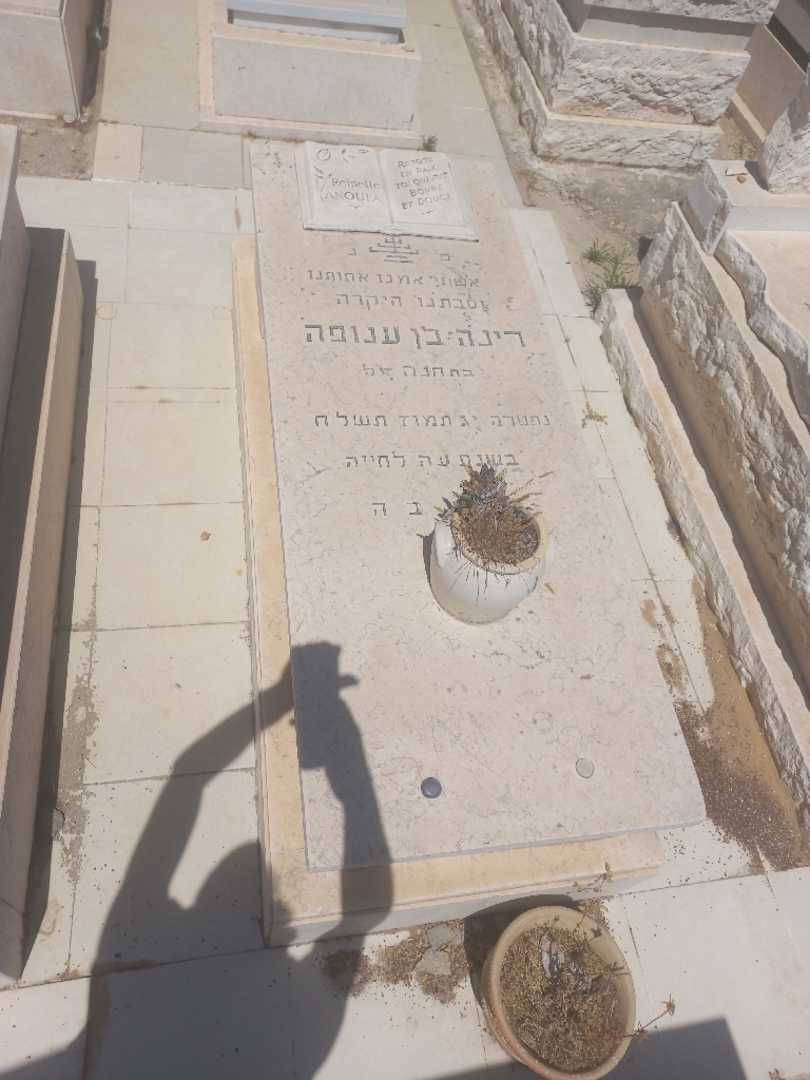 קברו של רינה בן ענופה