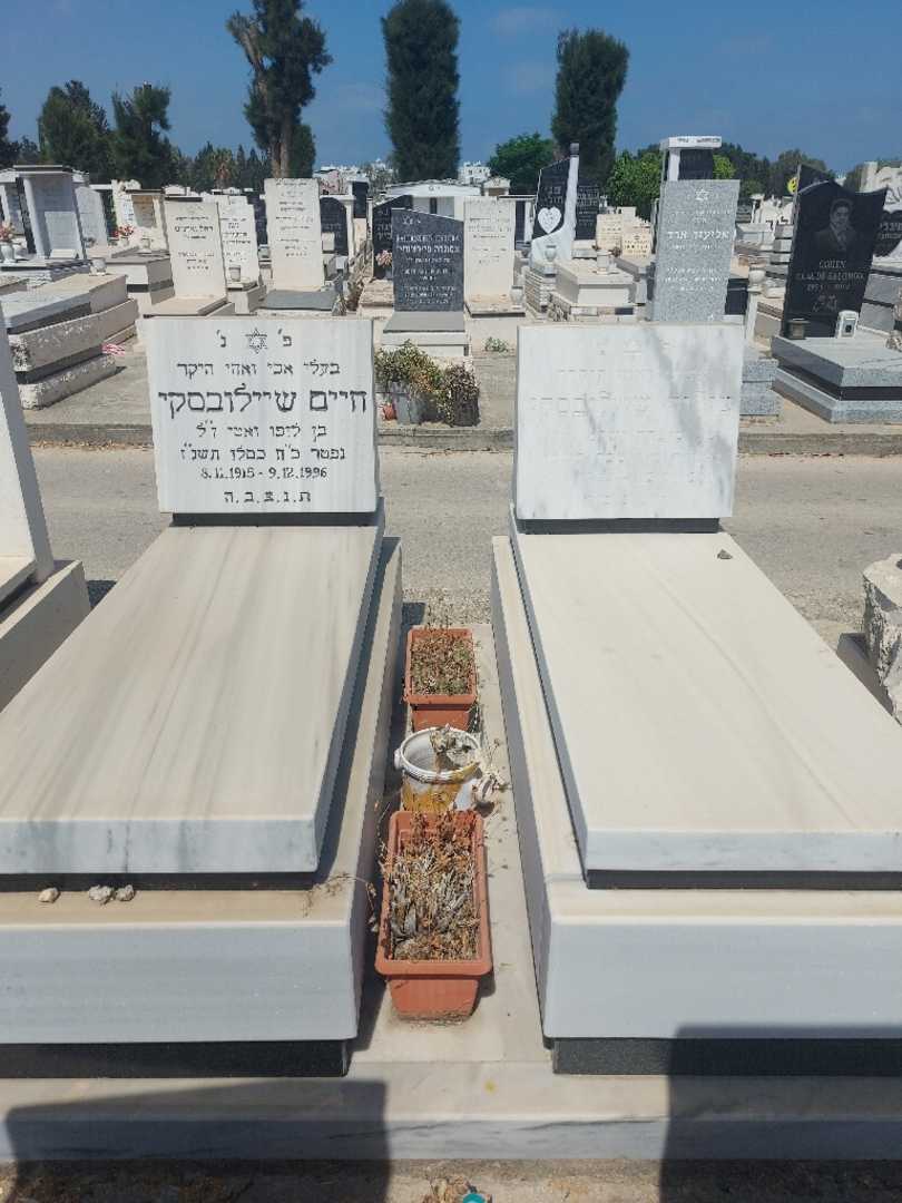 קברו של ציליה שיילובסקי. תמונה 2