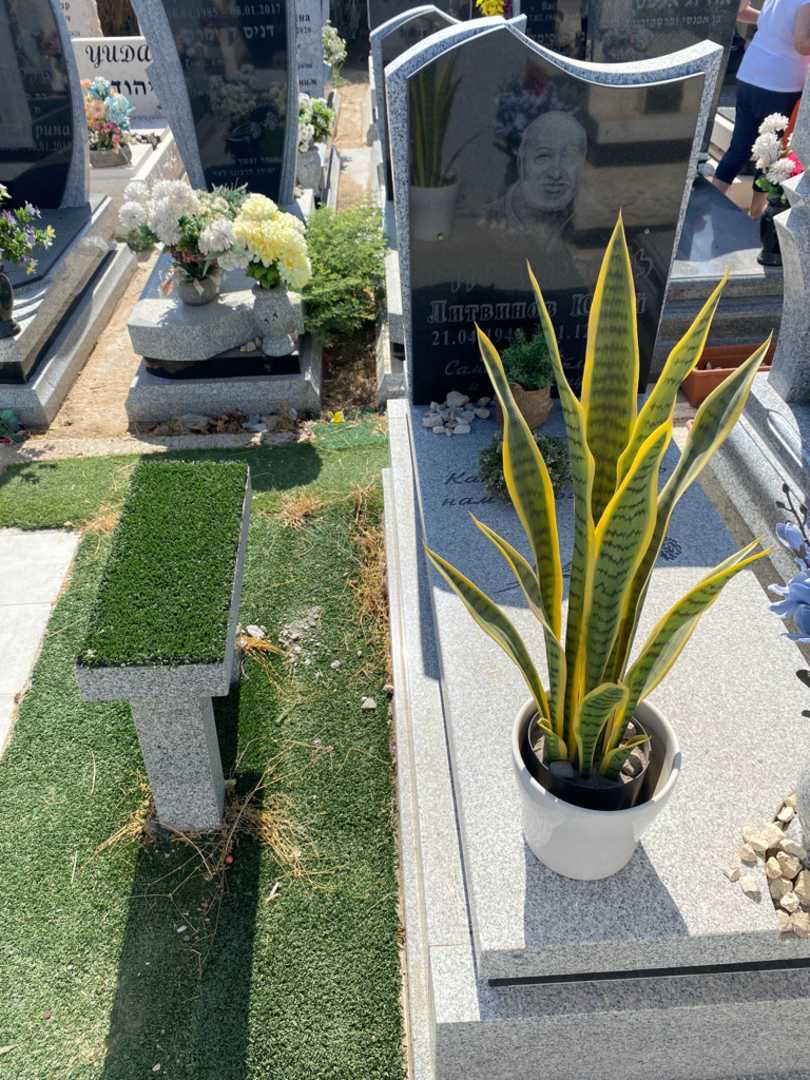 קברו של יורי ליטבינוב. תמונה 1