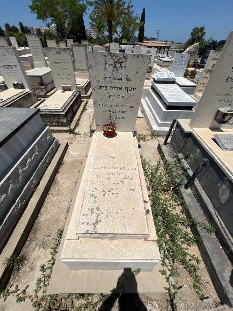 קברו של יוסף פייג
