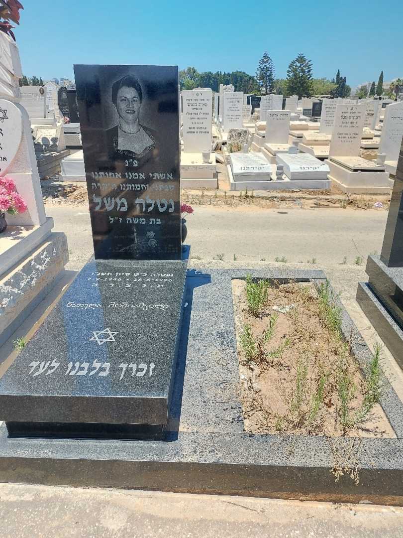 קברו של נטלה משל. תמונה 1