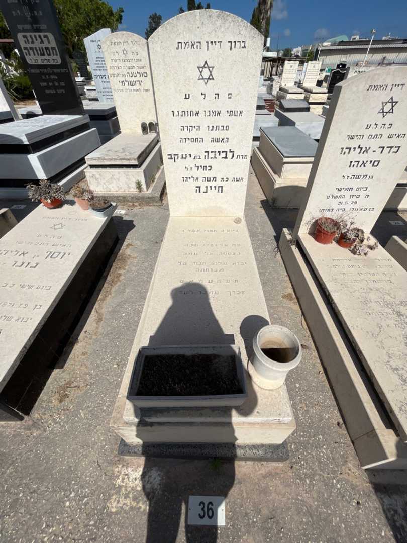 קברו של לביבה כחיל