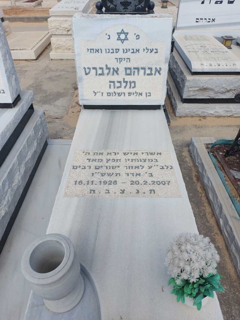 קברו של אלברט מלכה