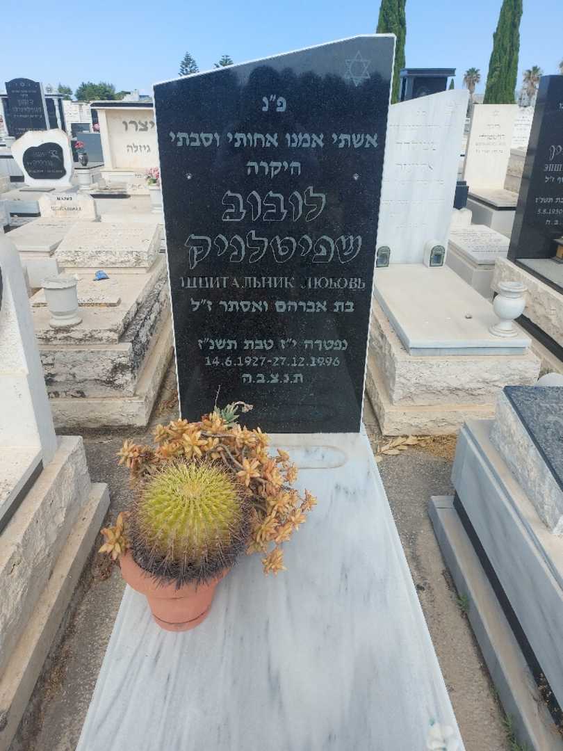 קברו של לובור שפיטלניק