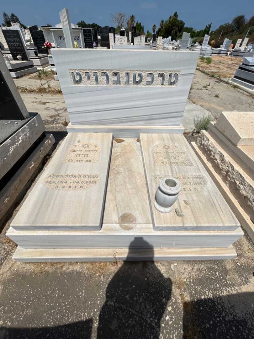 קברו של חיה טרכטנברויט. תמונה 1