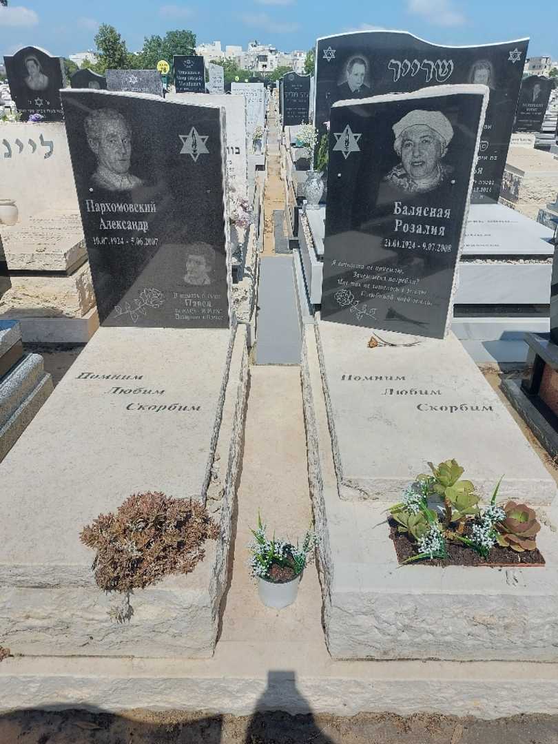 קברו של אלכסנדר פרחומובסקי. תמונה 1
