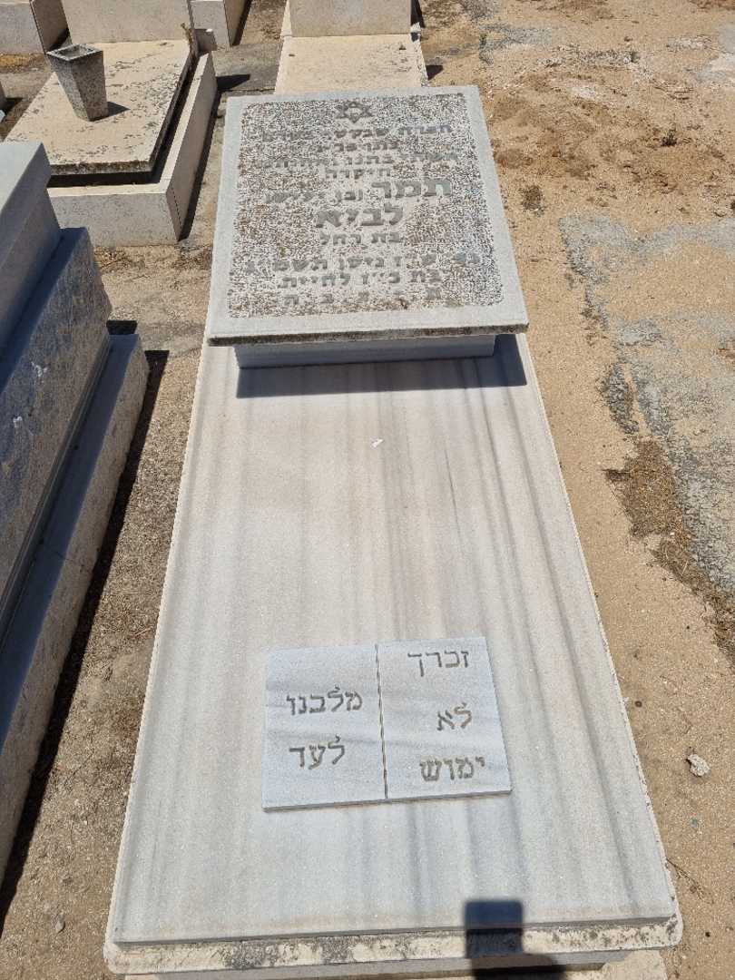 קברו של תמר לביא. תמונה 1