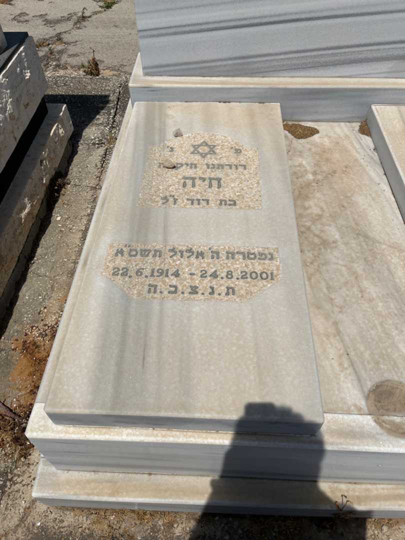 קברו של חיה טרכטנברויט. תמונה 2