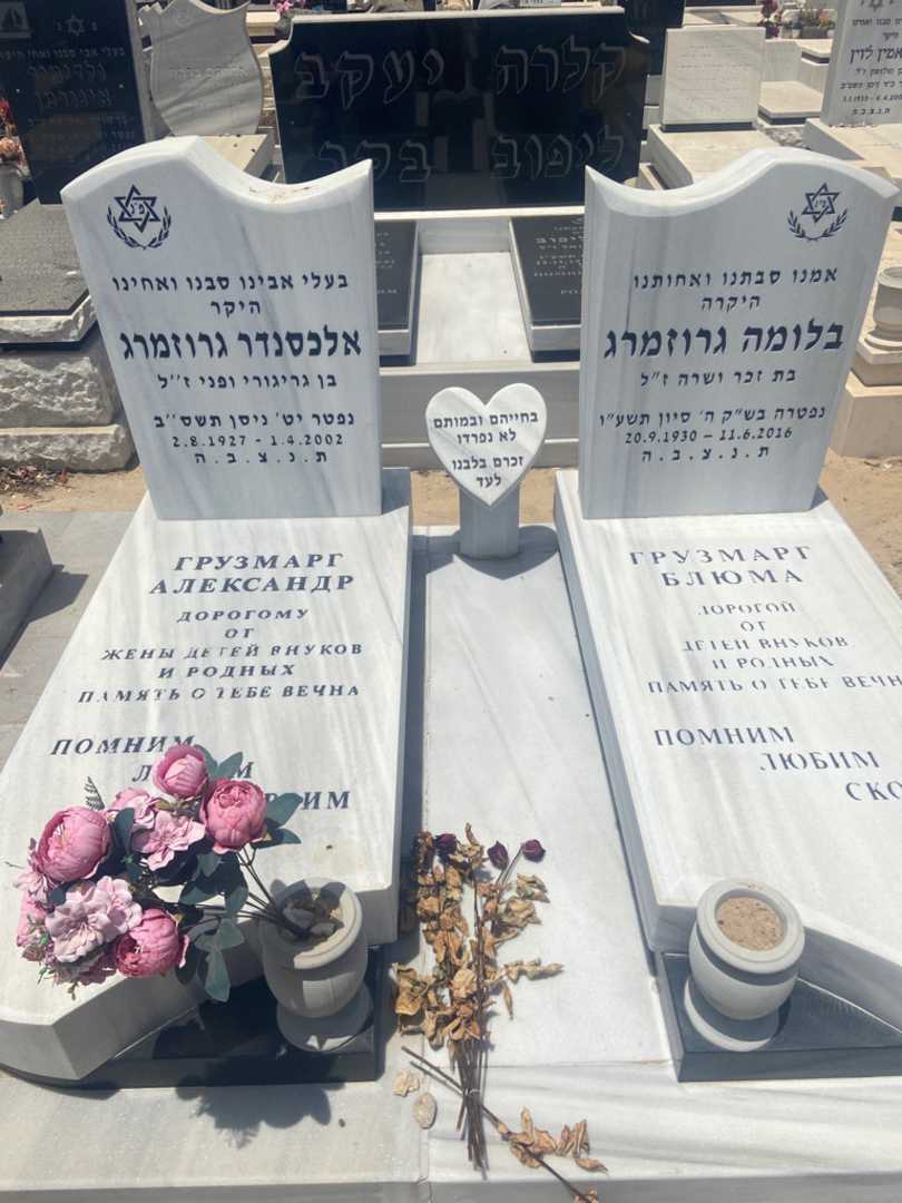קברו של בלומה גרוזמרג. תמונה 2