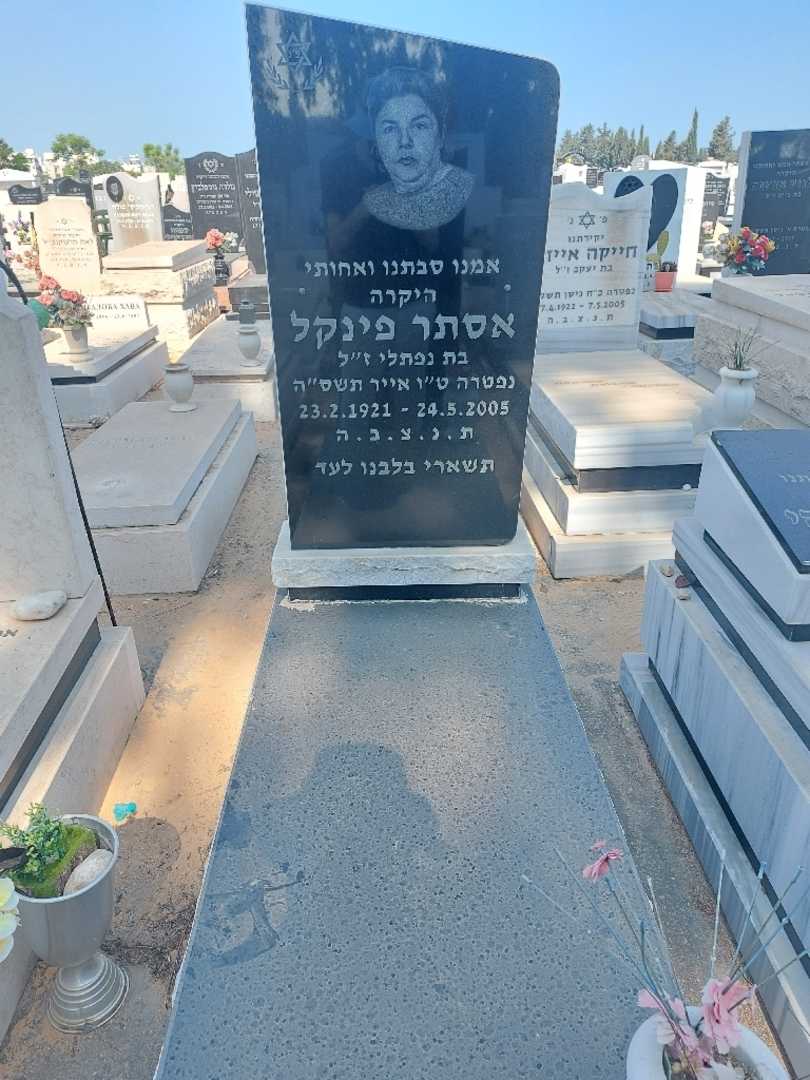קברו של אסתר פינקל