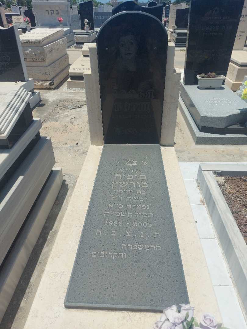 קברו של סופיה בורשץ'
