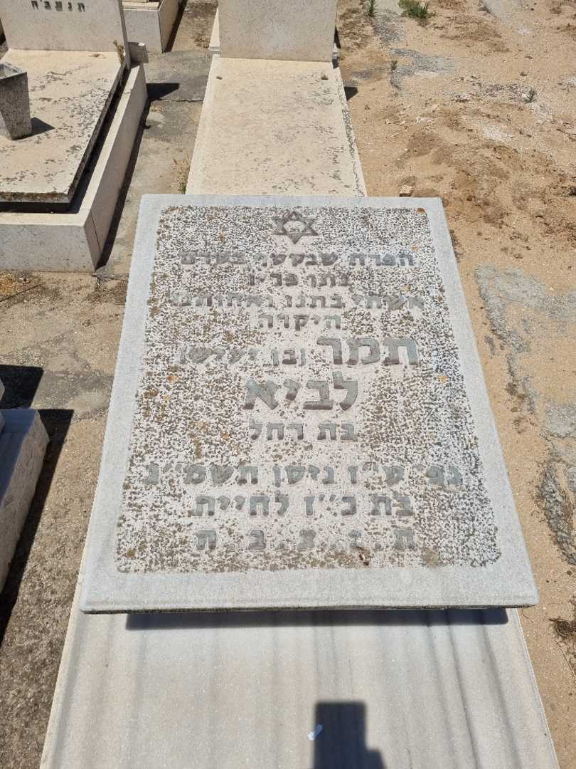 קברו של תמר לביא. תמונה 2