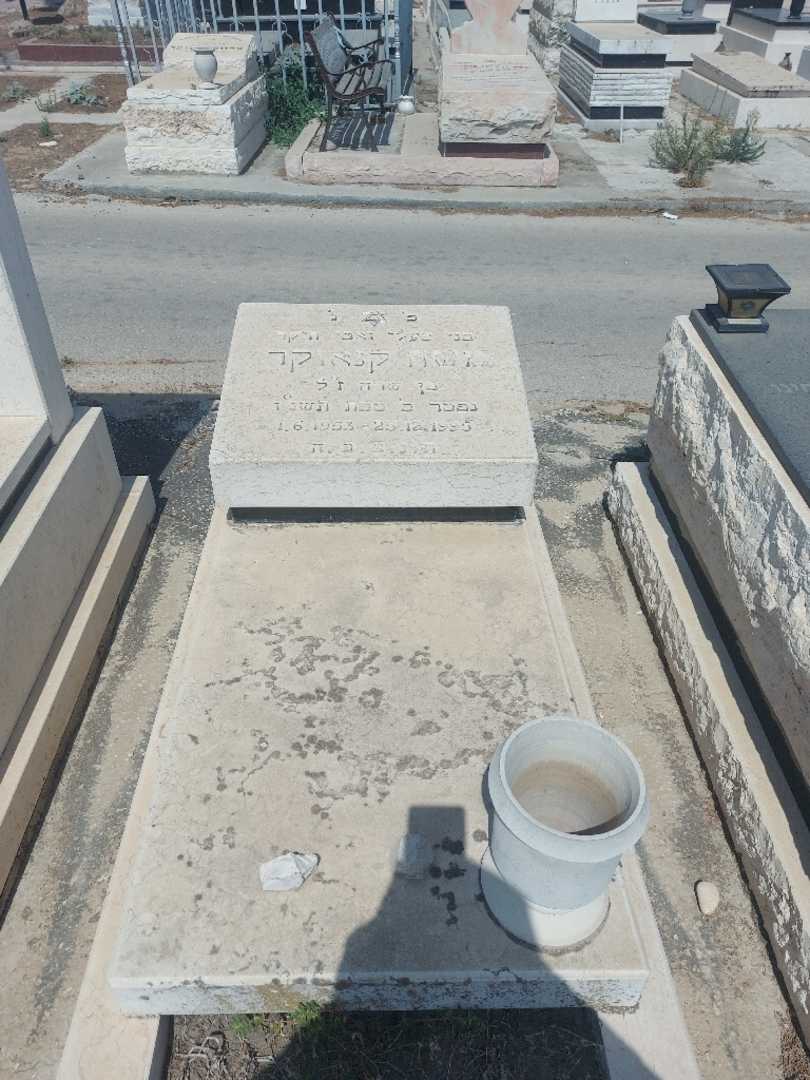 קברו של משה קנאוקר