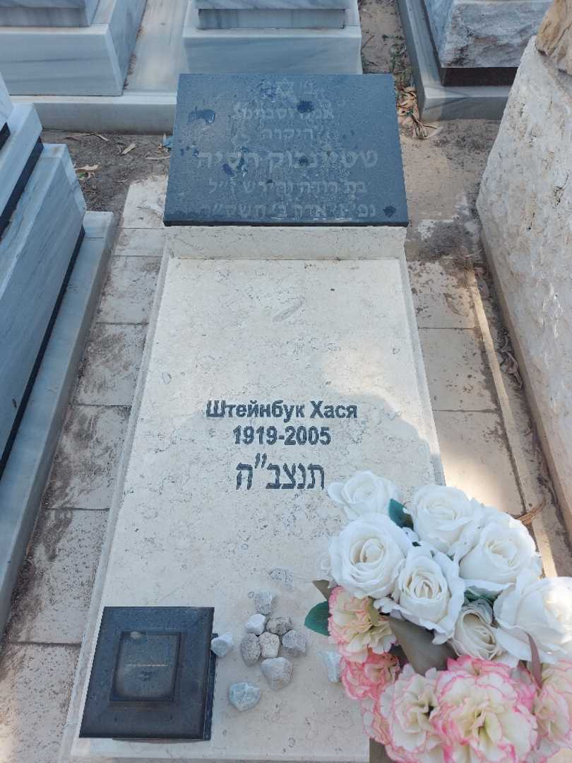 קברו של חסיה שטיינבוק