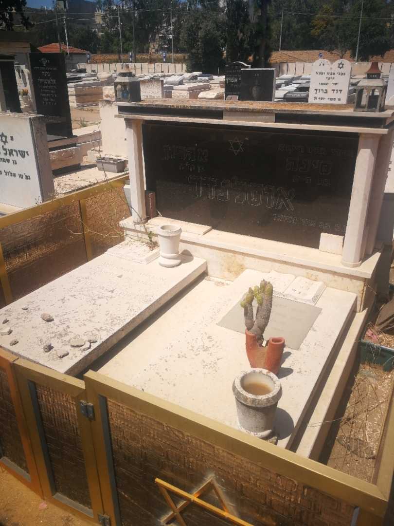 קברו של אהרון אוסלנדר. תמונה 1