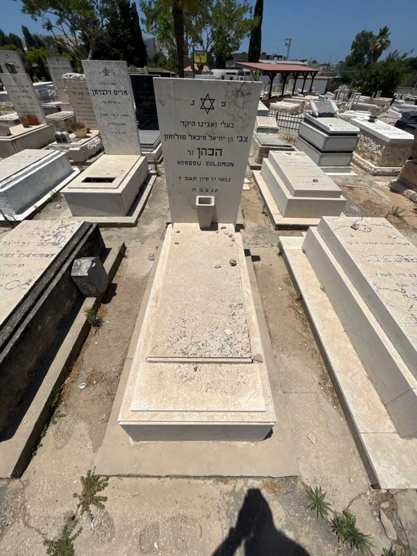 קברו של צבי חכחן סולומון