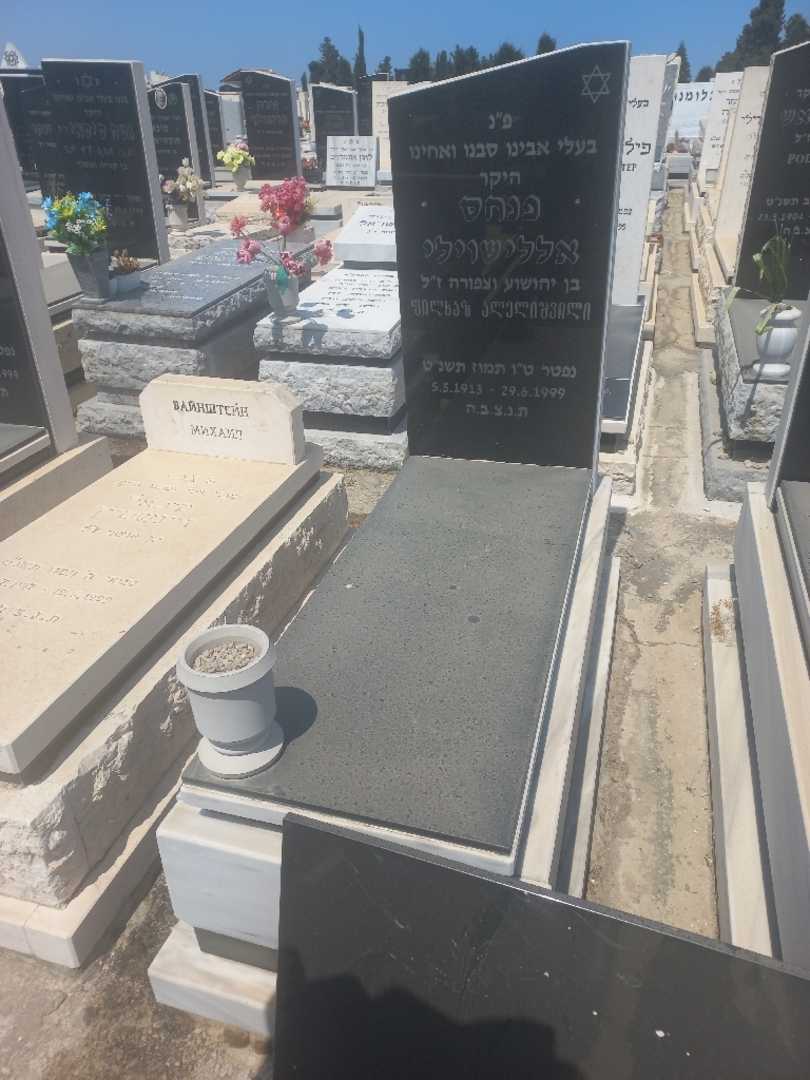 קברו של מיכאל אללישוילי. תמונה 1