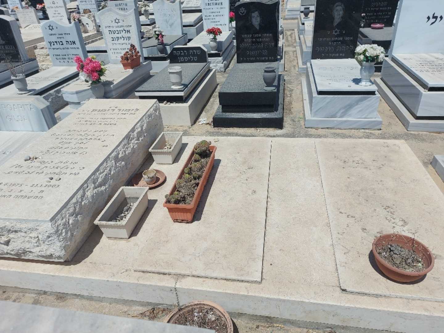 קברו של לימור רימוק. תמונה 2