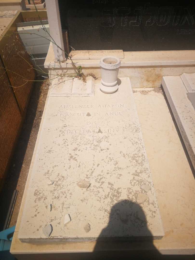 קברו של אהרון אוסלנדר. תמונה 2