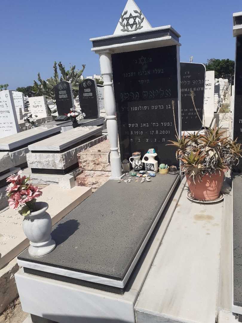 קברו של אליאס פרמן
