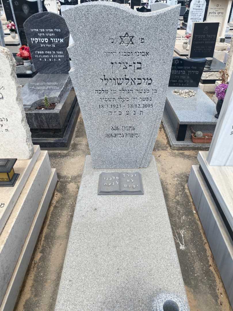 קברו של בן ציון מיכלשוילי. תמונה 1