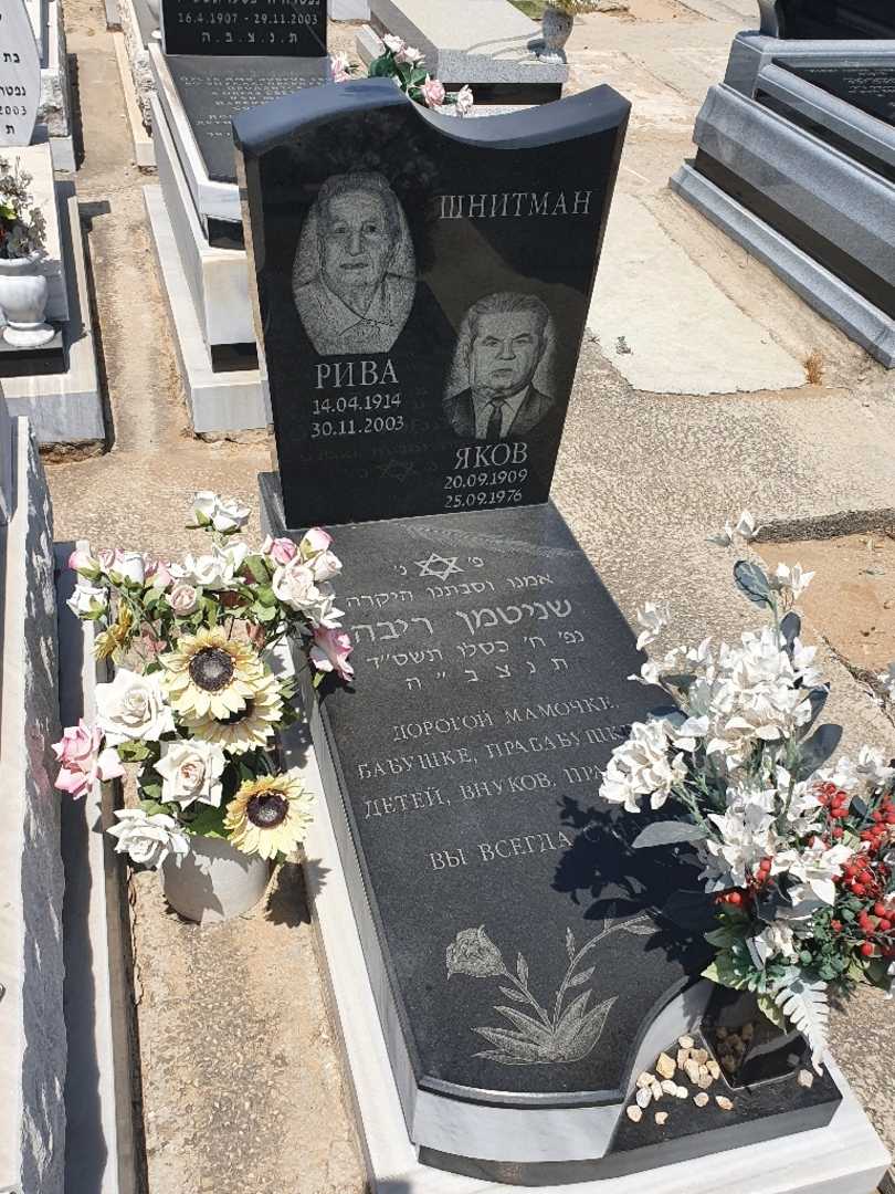 קברו של ריבה שניטמן