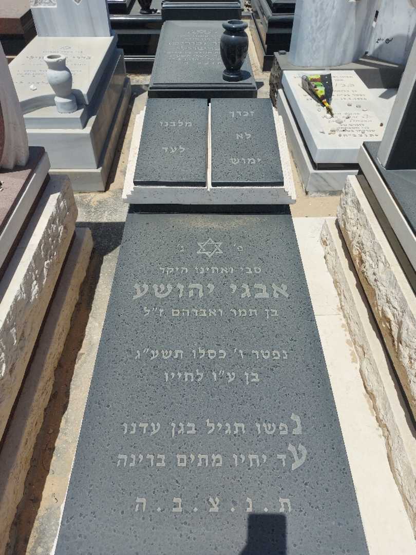 קברו של יהושע אבגי